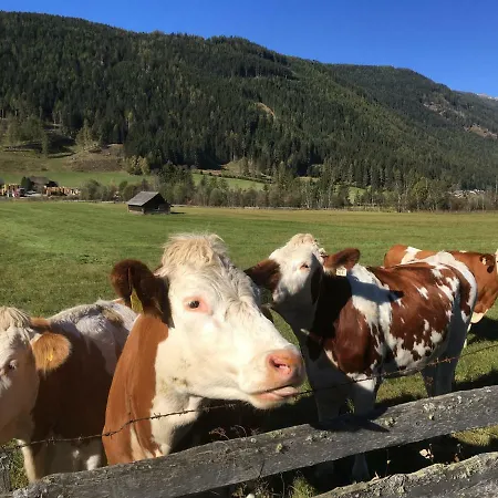 Ferienbauernhaus Stergut